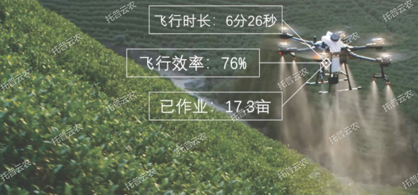 1685945798314886.jpg