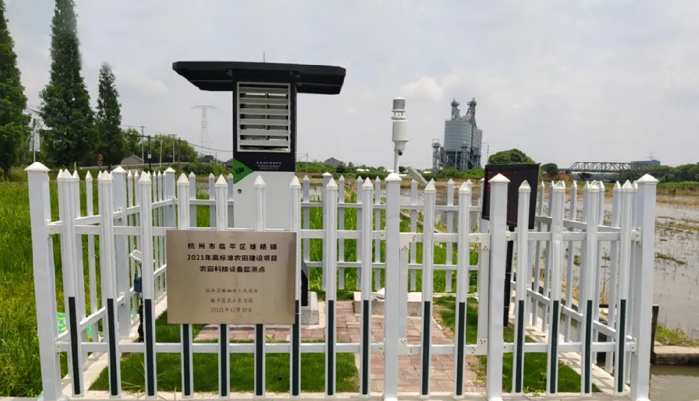 聽說，現在流行這樣種田