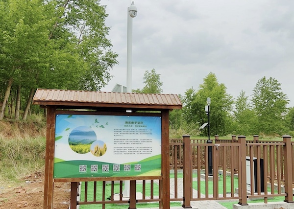 走進(jìn)國家級(jí)油菜夏繁基地，感受科技賦能蓬勃?jiǎng)恿?></a> </div>
          <div   id=